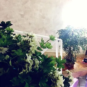 Orchidea By Dimorra Napoli